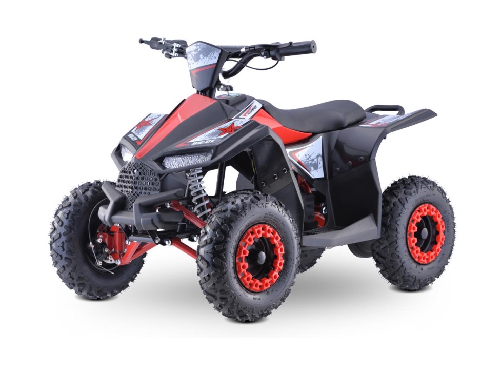 Eco Sport 1000W